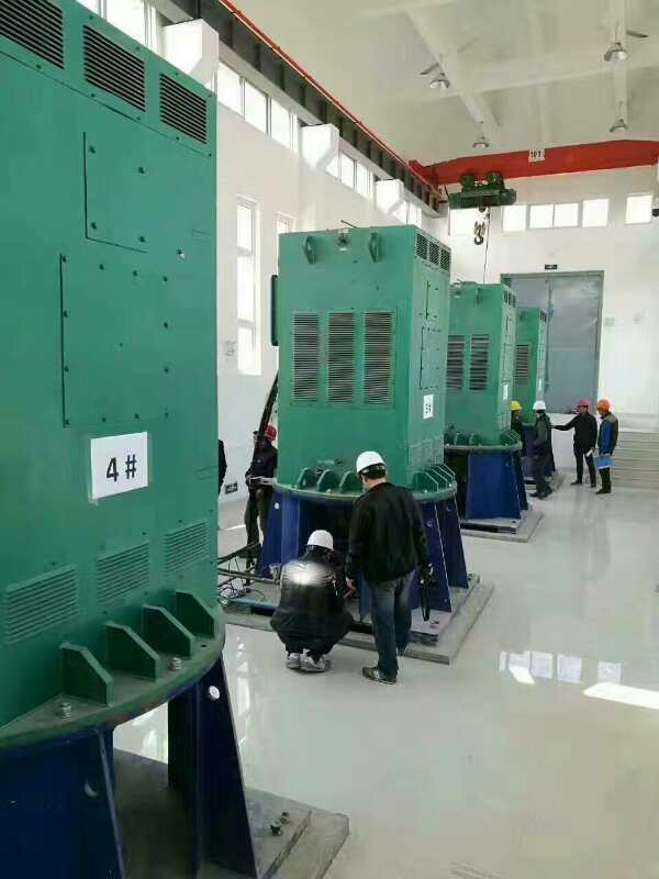 YKK5602-12/400KW某污水处理厂使用我厂的立式高压电机安装现场