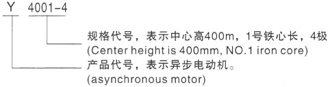 西安泰富西玛Y系列(H355-1000)高压YKK5602-12/400KW三相异步电机型号说明