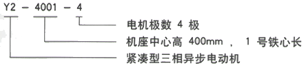 YR系列(H355-1000)高压YKK5602-12/400KW三相异步电机西安西玛电机型号说明